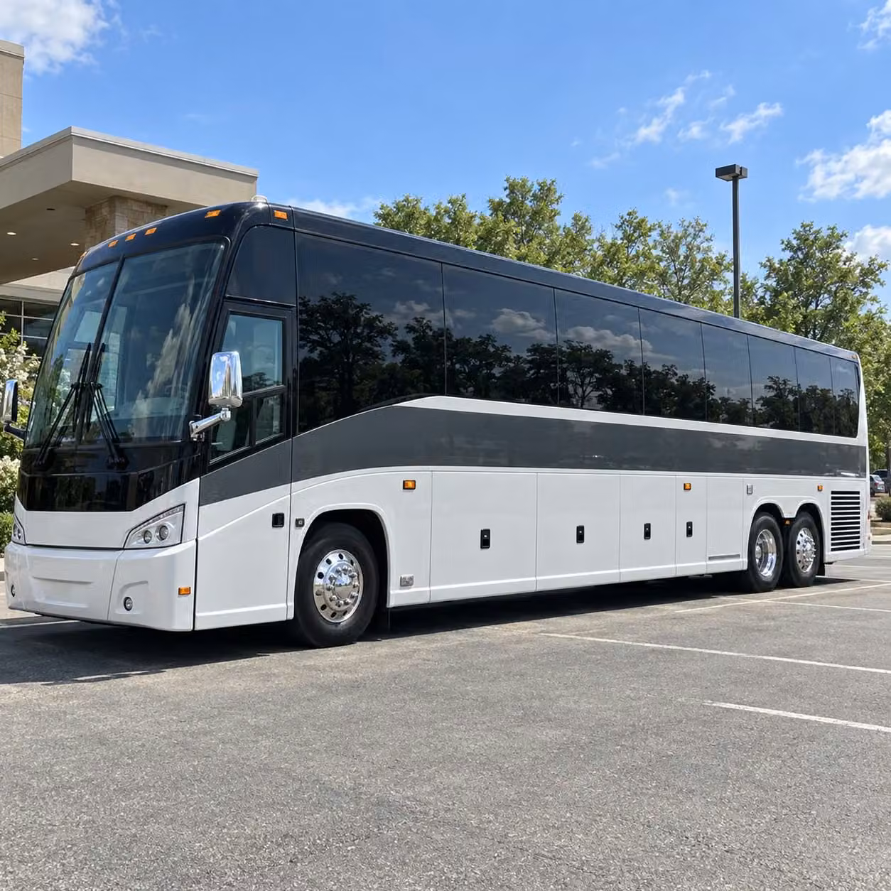 56 passenger charter bus